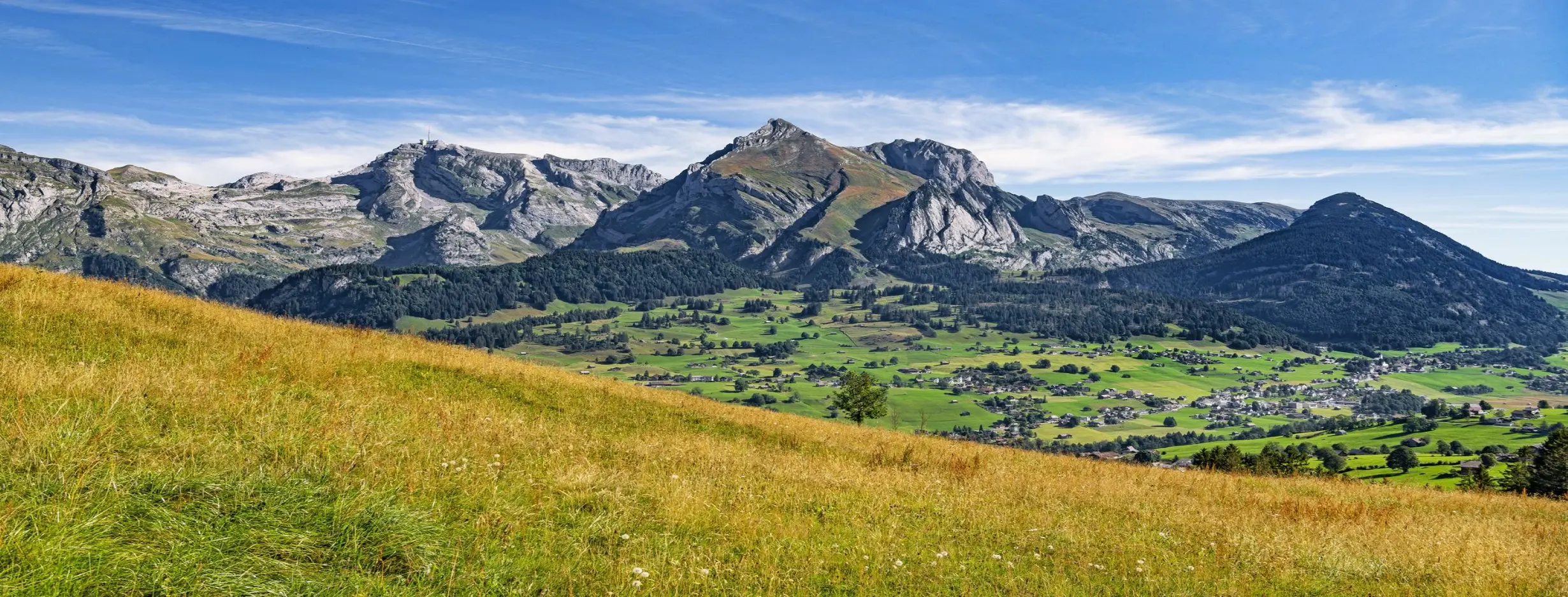 Image for Historical Elevation Walks
